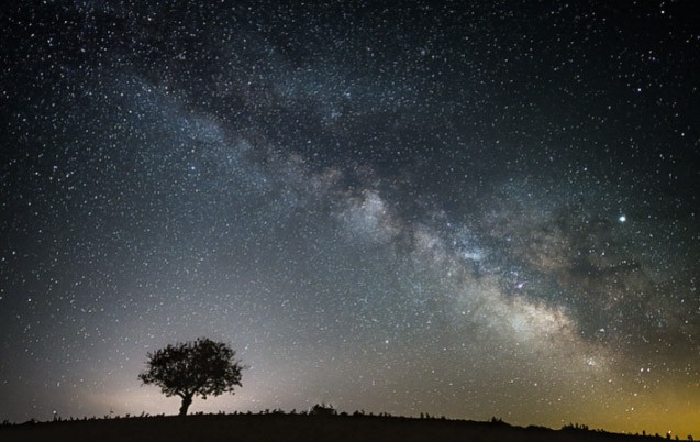 "Nocturna en el campo" de Silvana Magali Frank