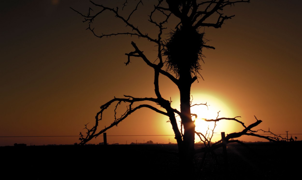 "atardecer en el campo" de Mauro Sebastian Garcia