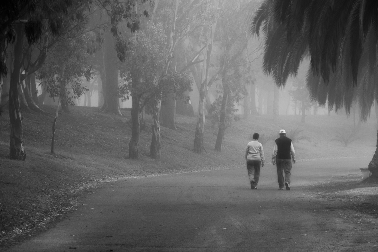 "Caminata diaria en el. Parque" de Fernando Valdez Vazquez