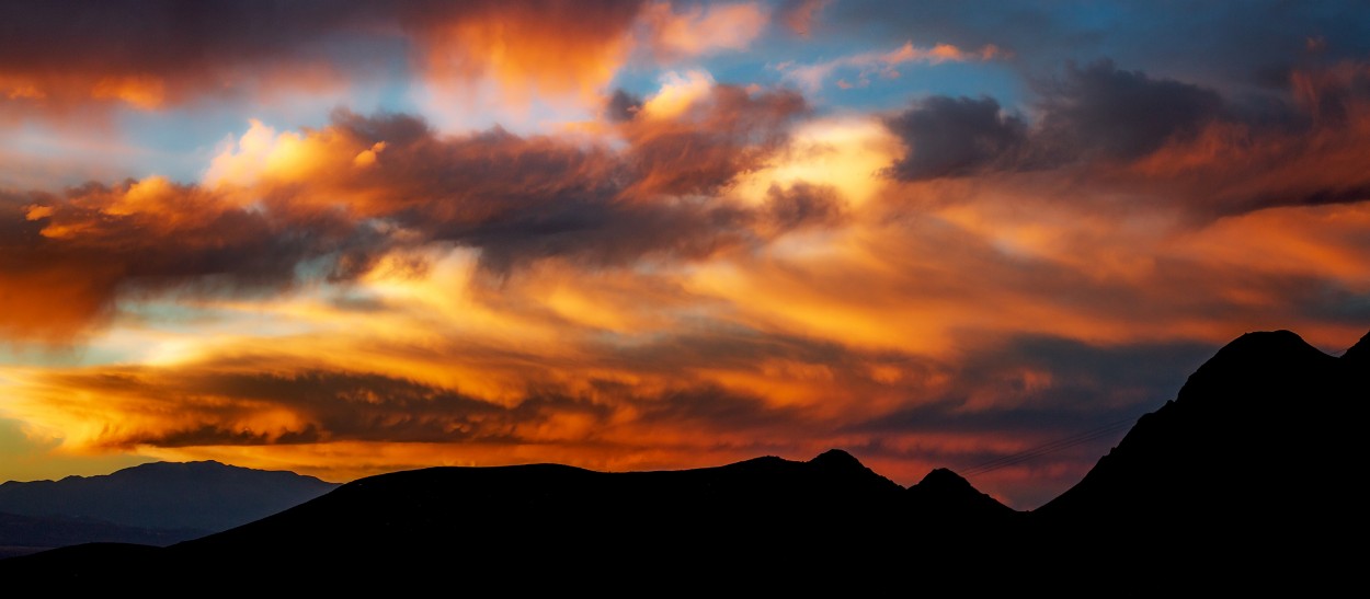 "Perfiles de un atardecer" de Carlos Gianoli