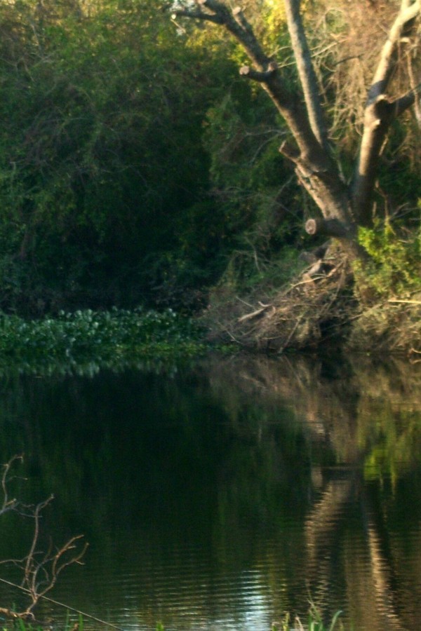 "imagine una isla mia" de Beatriz Di Marzio