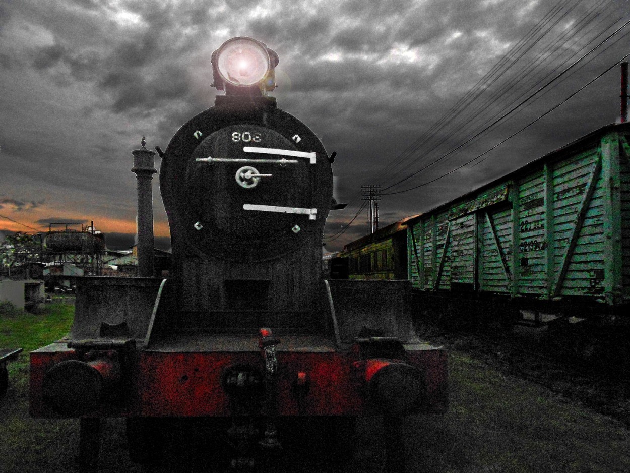 "Viejos trenes a vapor" de Ricardo S. Spinetto