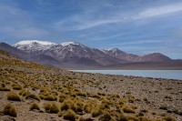Puna de Atacama, Catamarca