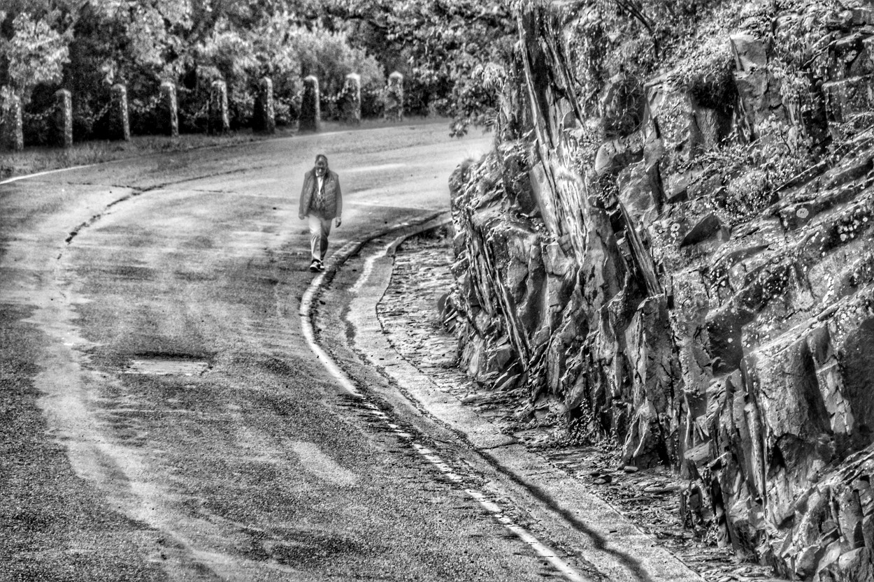 "Caminante solitario..." de Maria Isabel Hempe