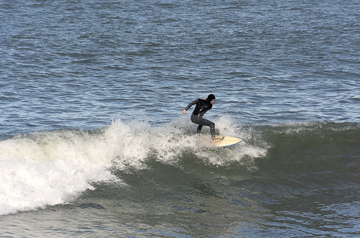 "Domingo de Surf" de Patricia Briglia