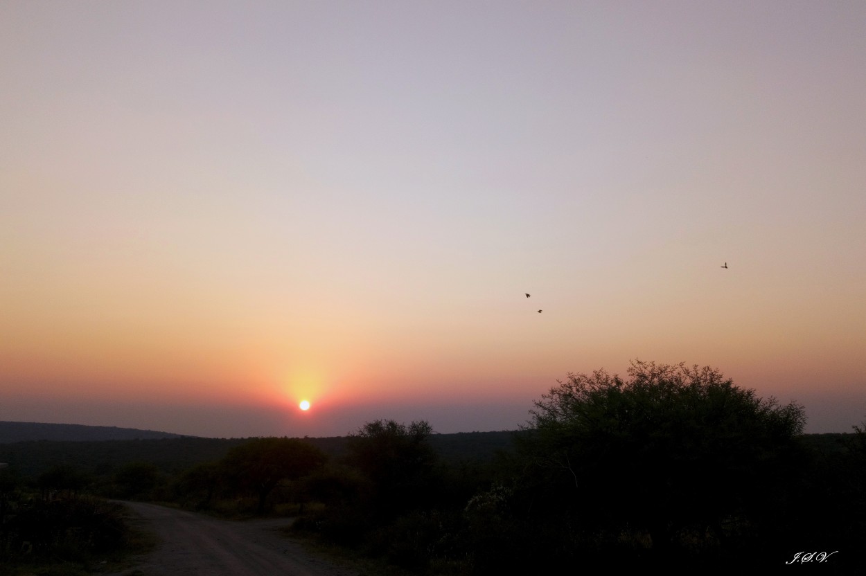 "Volando hacia el amanecer" de Jorge Vargas