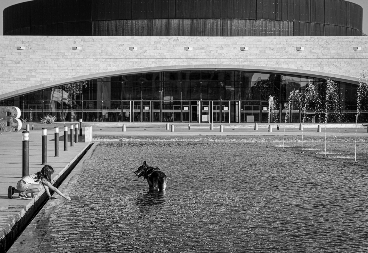 "la nia y el perro" de Fernando Basconi