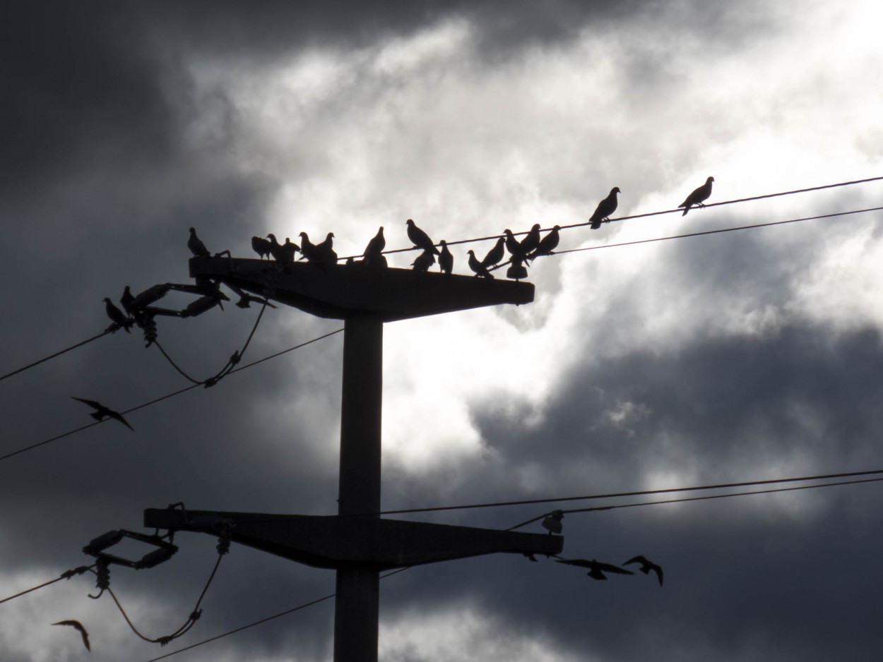 "esoerando la tormenta" de Hugo Bottaro