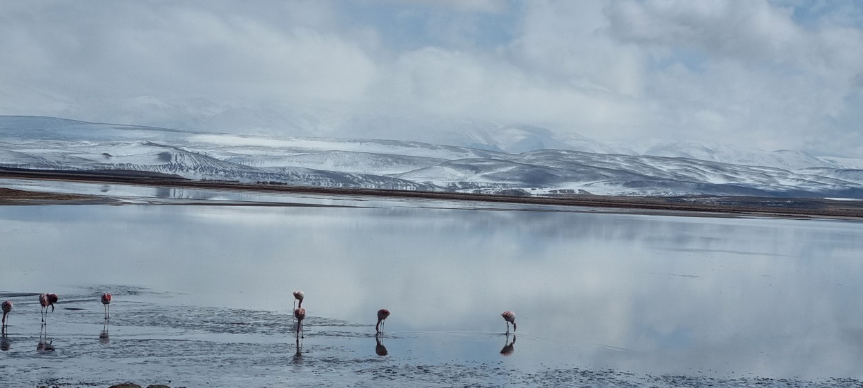 "Salar y nieve" de M. Ayelen Biur.