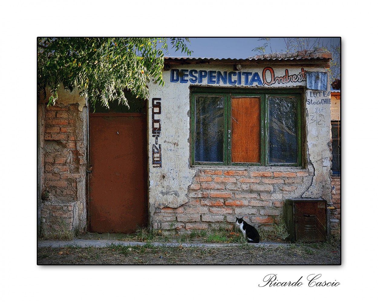 "La despensa" de Ricardo Cascio