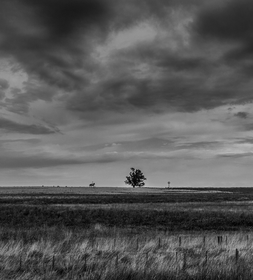 "El campo (versiones en byn)" de Fernando Valdez Vazquez