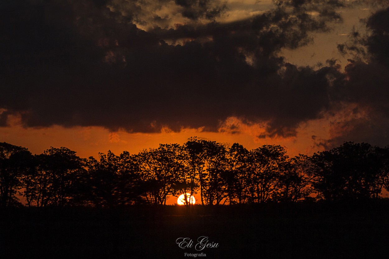 "Atardecer" de Elizabeth Gesualdo