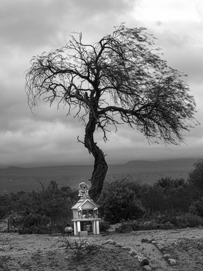 "El ultimo viaje" de Esteban Eberle