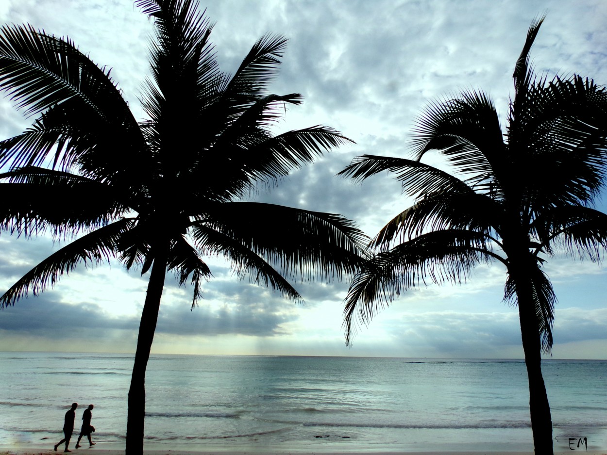 "Palmeras,arena y mar." de Ester Francisca Macagno