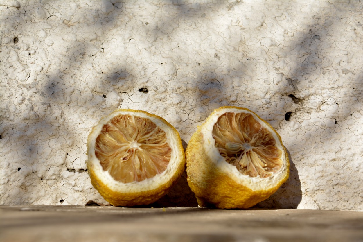 "tomando un poco de sol..." de Andrea Cormick