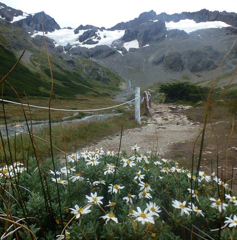 "primavera en las cumbres" de Delia Raquel Sakauskas