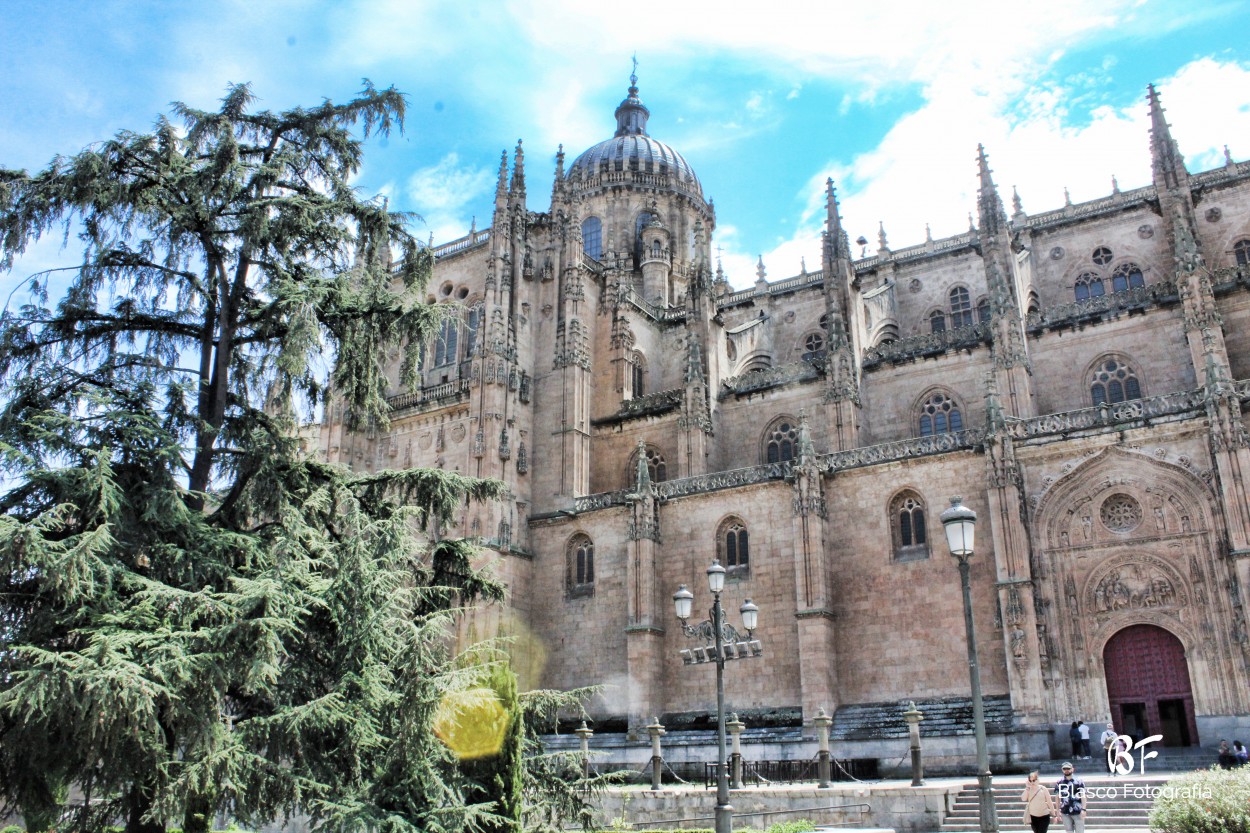 "Catedral de Salamanca" de Luis Blasco Martin