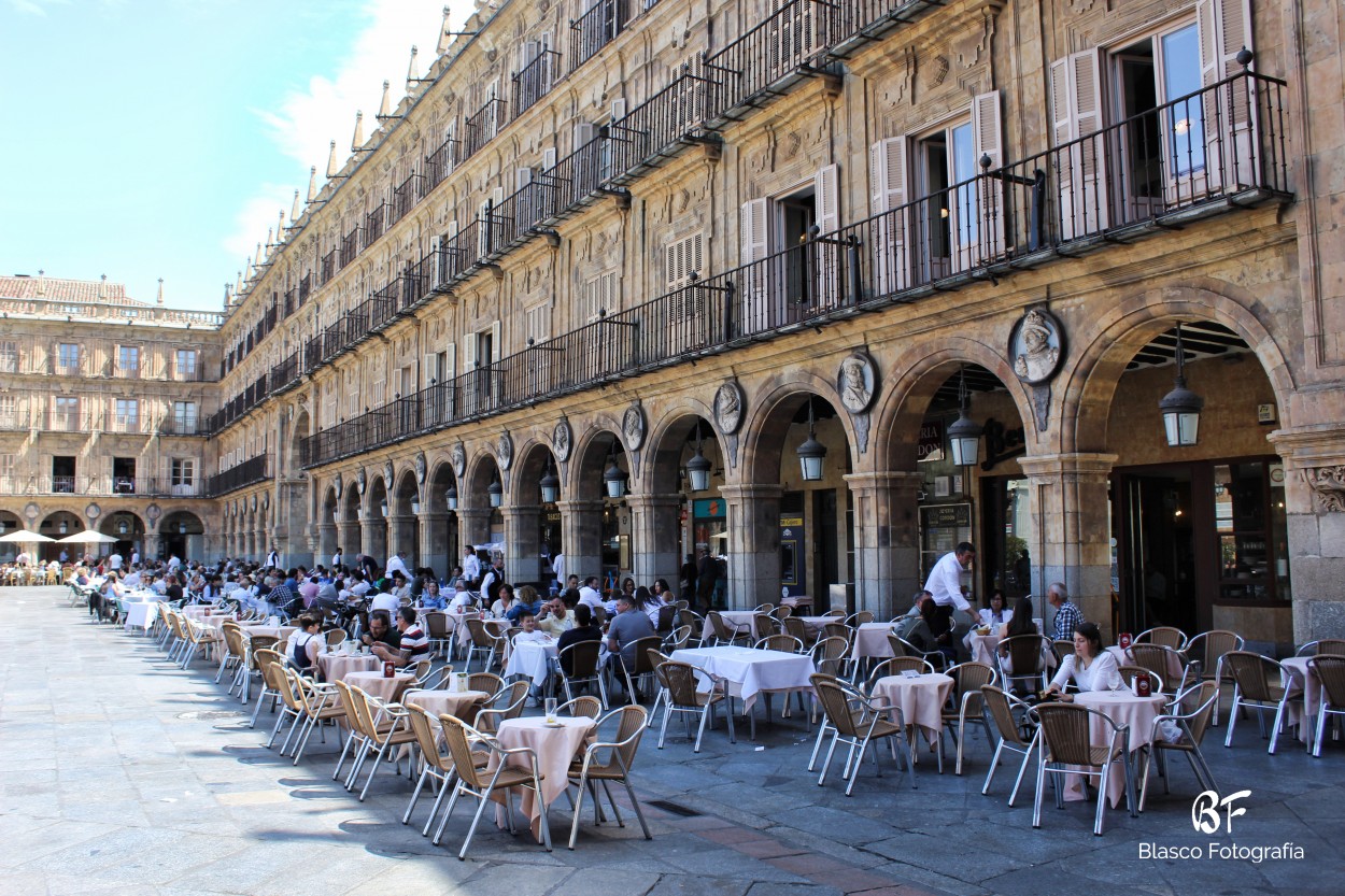 "Plaza Mayor de Salamanca" de Luis Blasco Martin