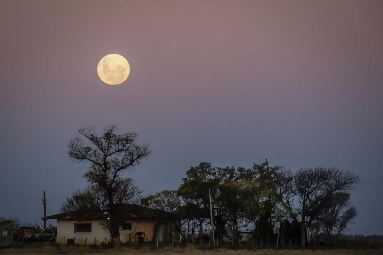 "Luna antes de ser eclipsada" de Su Garcia Hillcoat