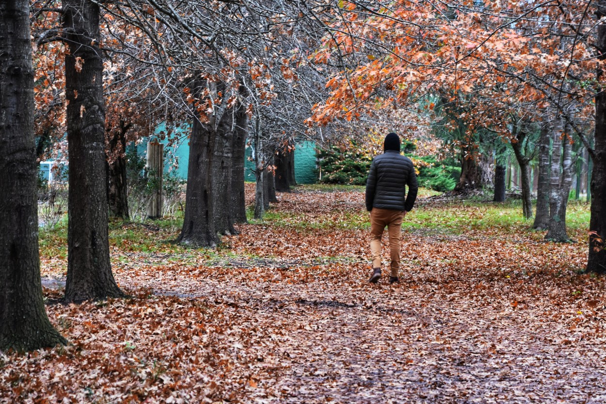 "Por el sendero..." de Maria Isabel Hempe