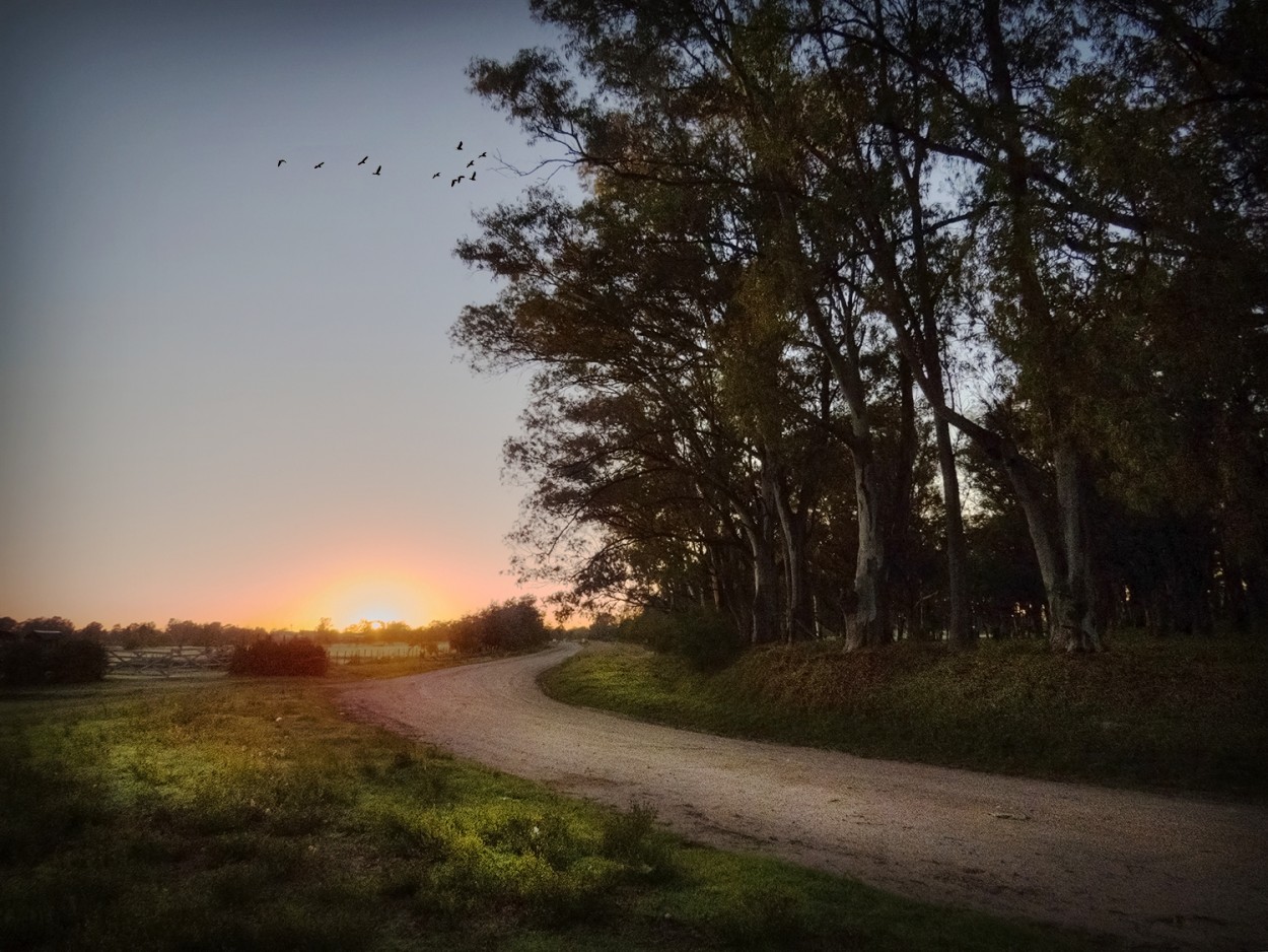 "Un camino al salir el sol" de Fernando Valdez Vazquez