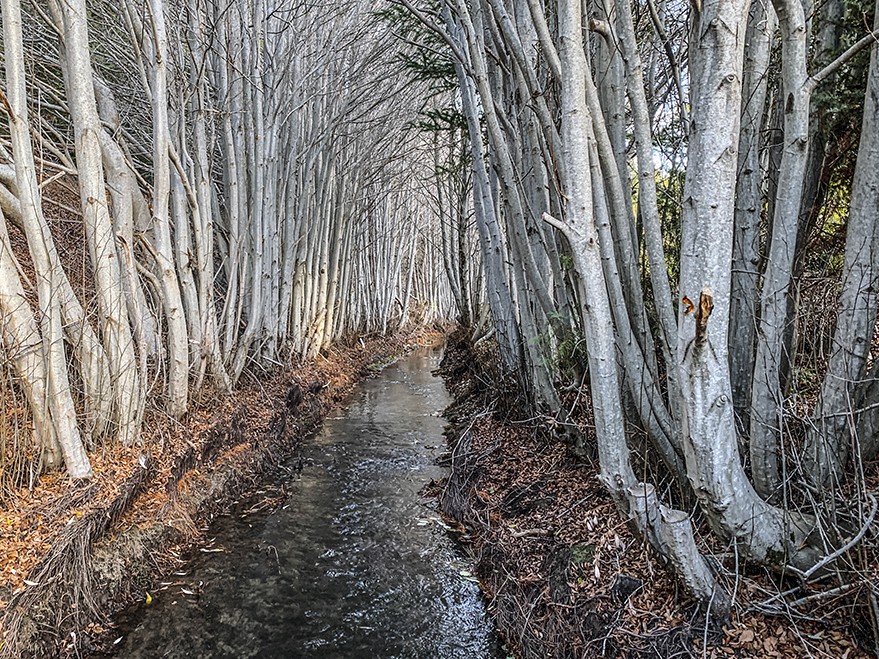 "Sendero de la Virgen de las nieves" de Hernn Vega