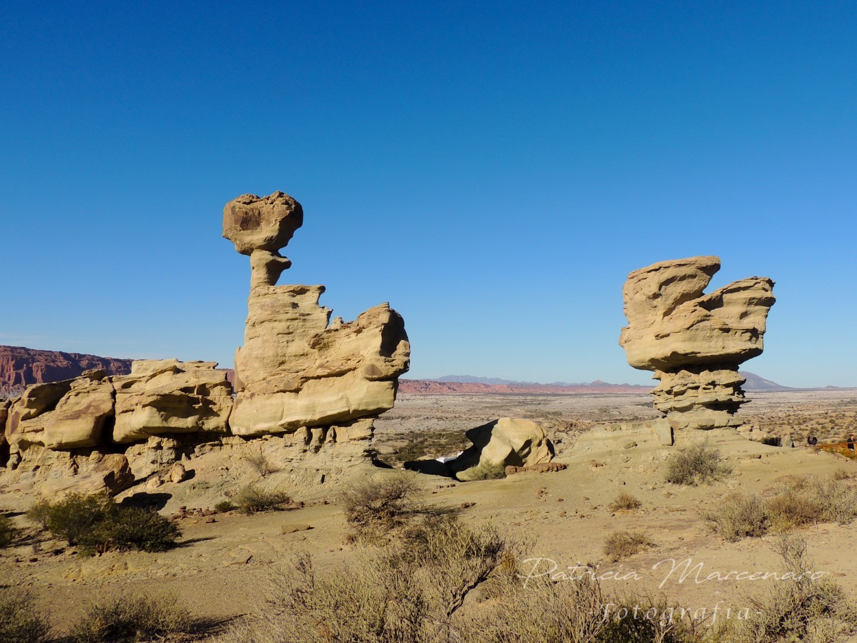 "Ischigualasto" de Patricia Marcenaro