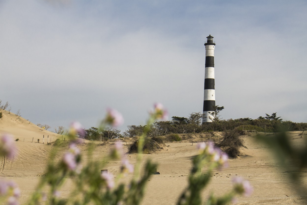 "Faro" de Martin Brahamian