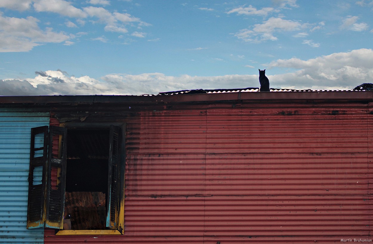 "Gato sobre el tejado" de Martin Brahamian