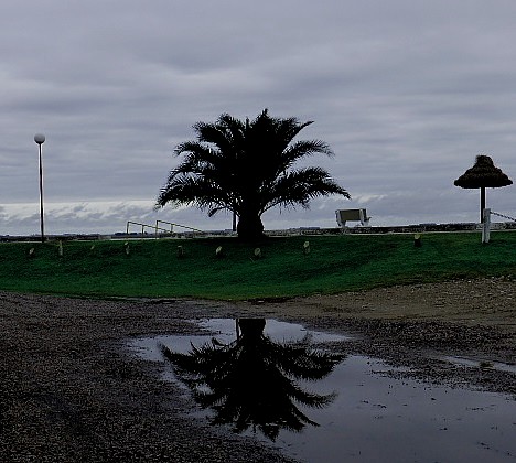 "tarde gris" de Delia Raquel Sakauskas