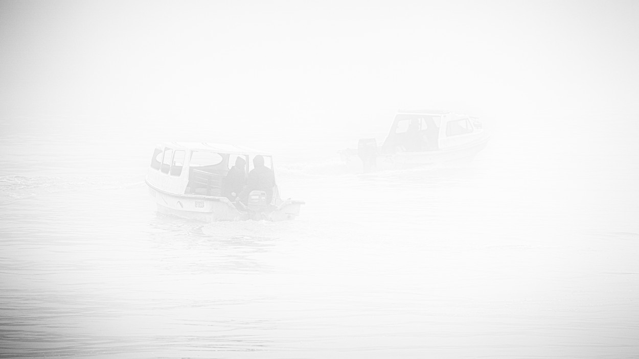 "Barcos en la niebla" de Carlos Gianoli