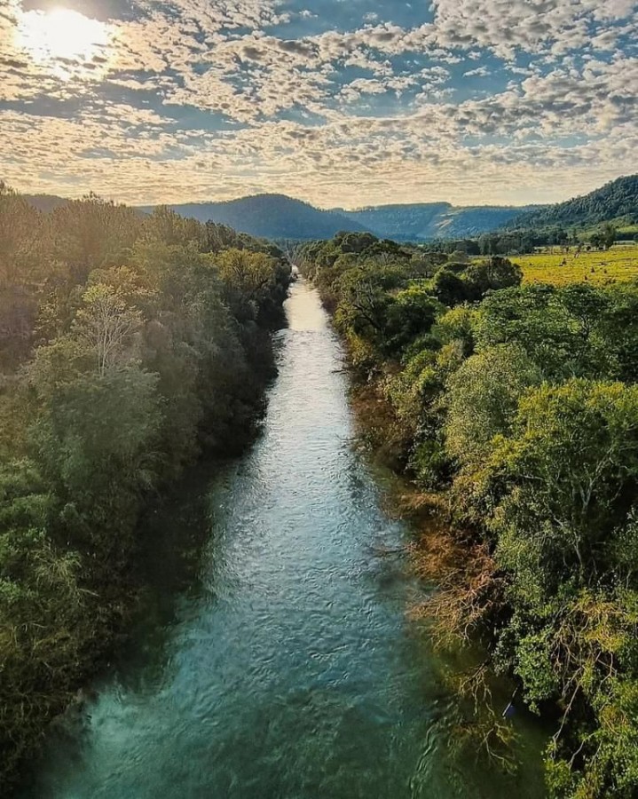 "`La naturaleza es perfecta`" de Ariana Scherich