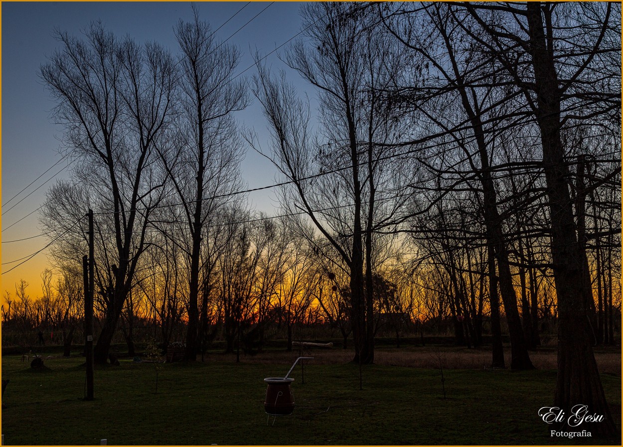 "Atardecer en el campo" de Elizabeth Gesualdo