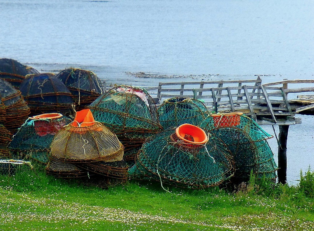 "muelle centollero chileno" de Delia Raquel Sakauskas