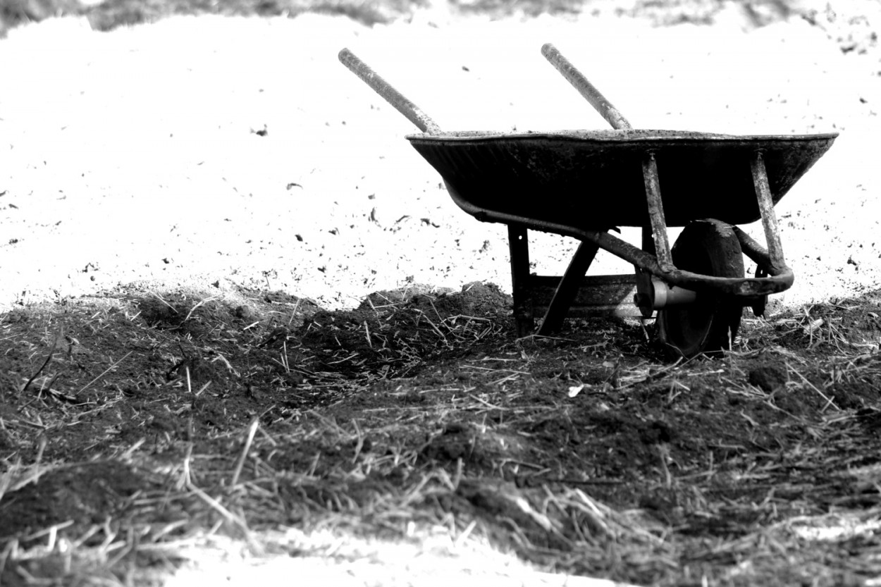 "Uma pausa pausa este olhar no campo....." de Decio Badari