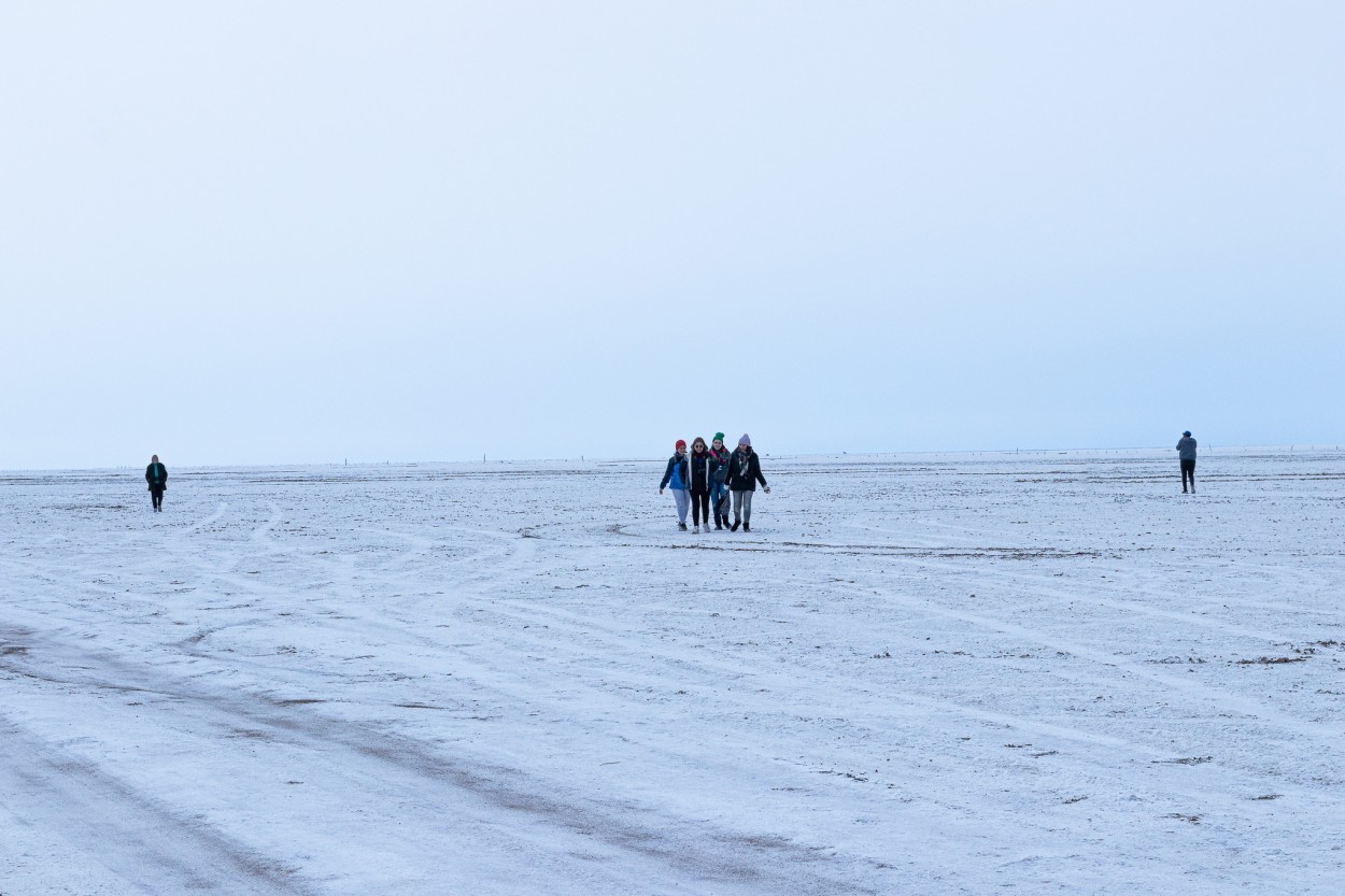 "Salinas" de Luis Torres Sal