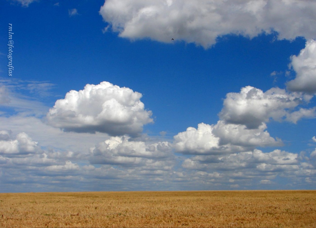 "Campos de Oro" de Ricardo Mximo Lopez Moral