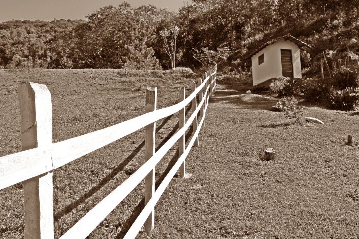 "Ontem no campo, visitando Amigos, um olhar......" de Decio Badari