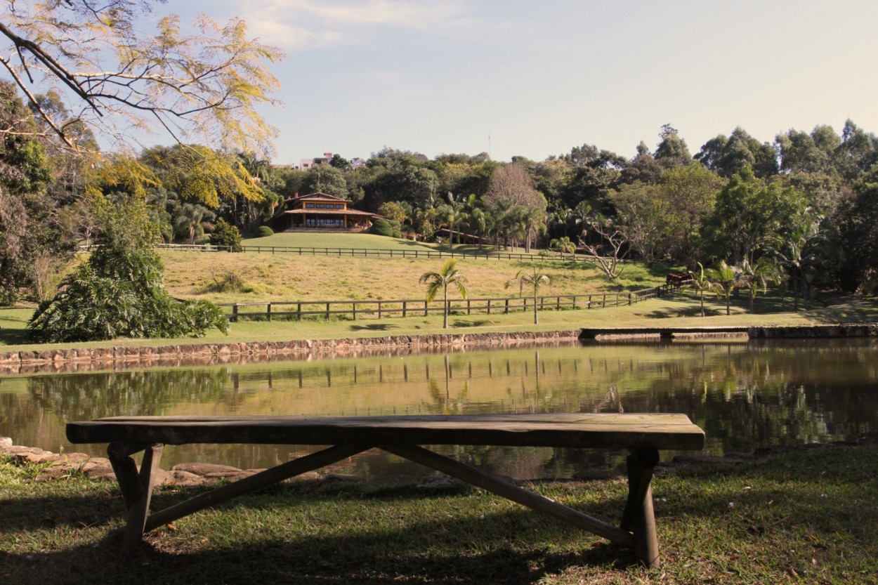 "Nesta manh, uma pausa em minha caminhada....." de Decio Badari