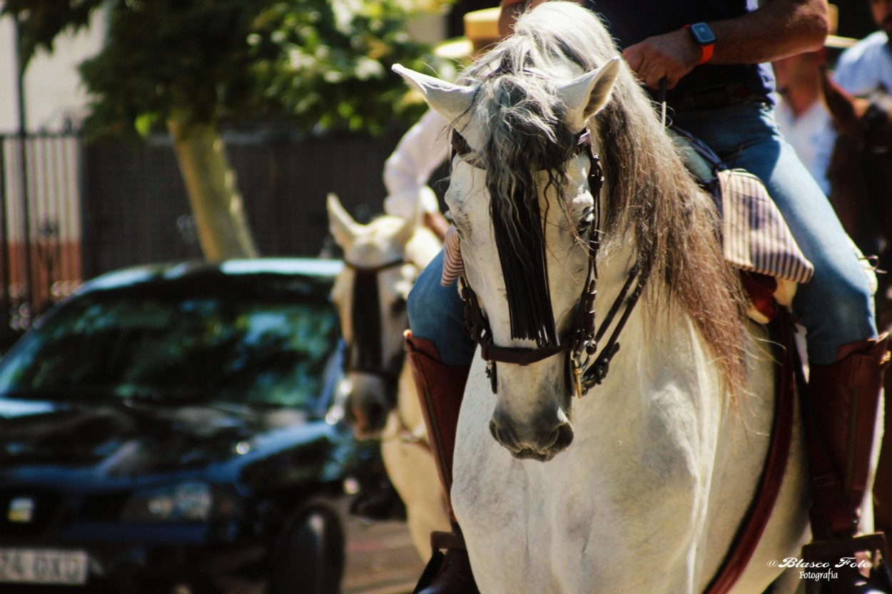 "Paseo a caballo" de Luis Blasco Martin