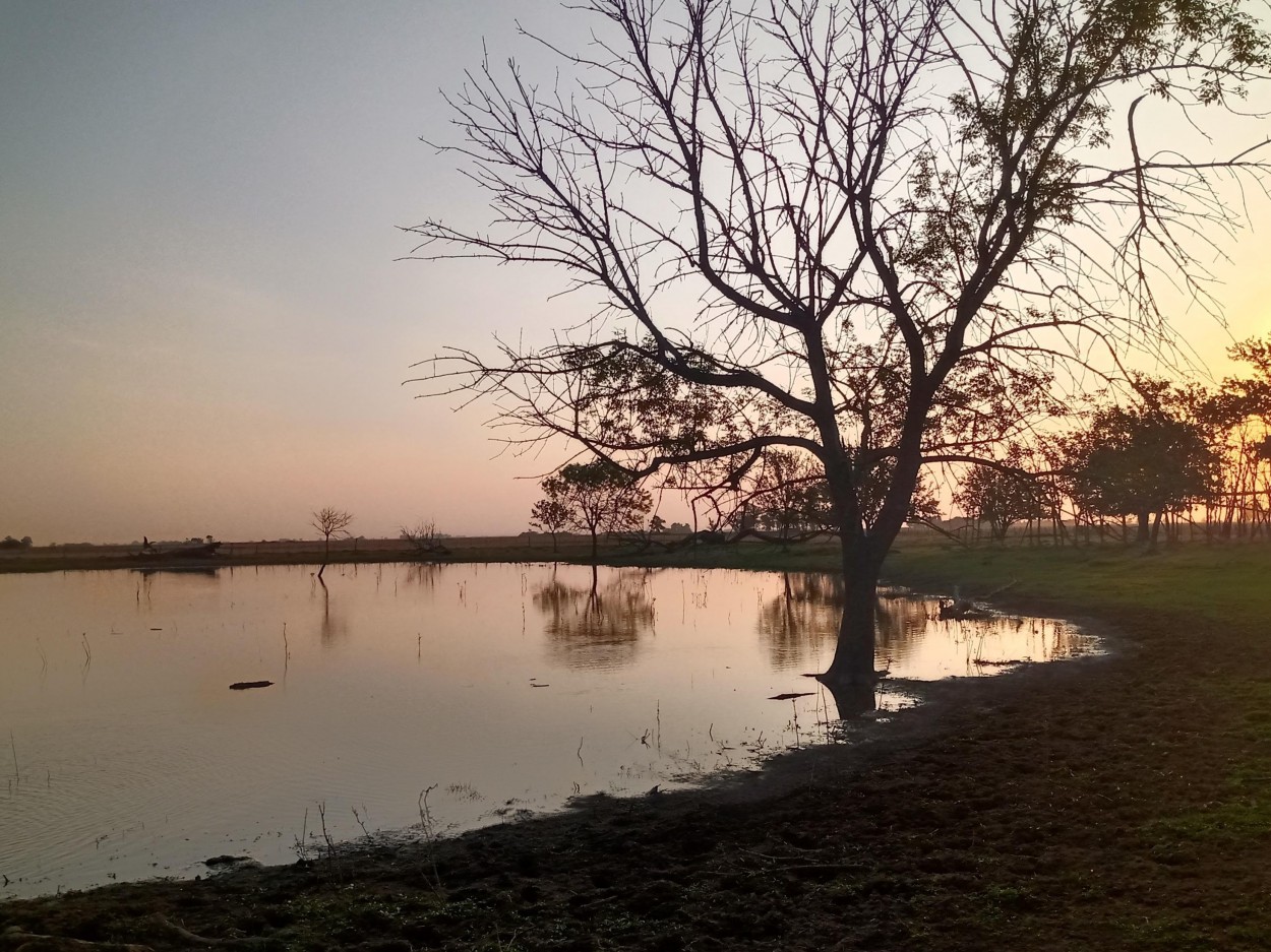 "Laguna" de Vernica Dana