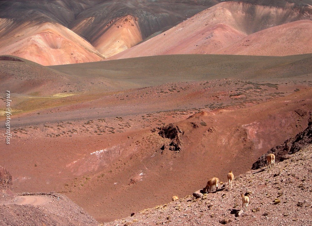 "Paisaje andino" de Ricardo Mximo Lopez Moral