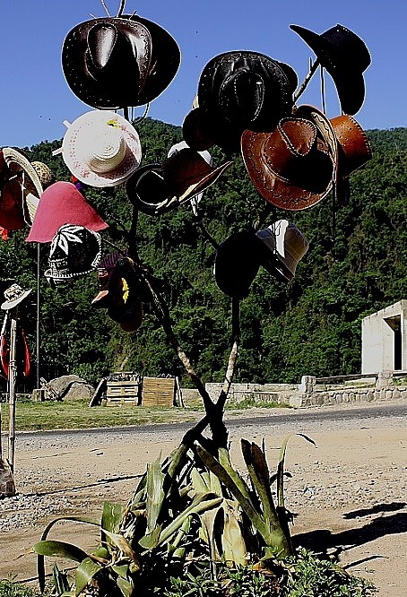 "arbol de sombreros" de Delia Raquel Sakauskas