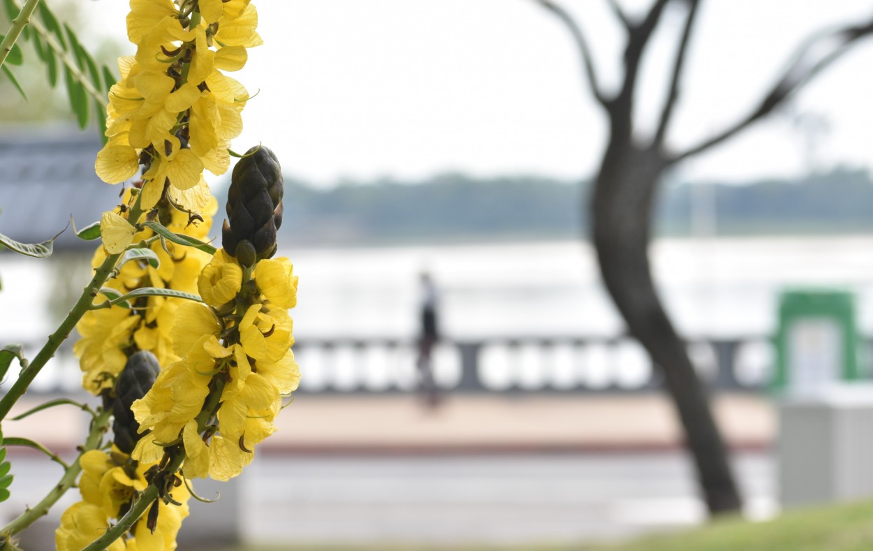 "Esperando la primavera" de Vernica Galeano