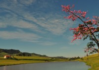 A entrada da minha cidade, antecipando a Primavera