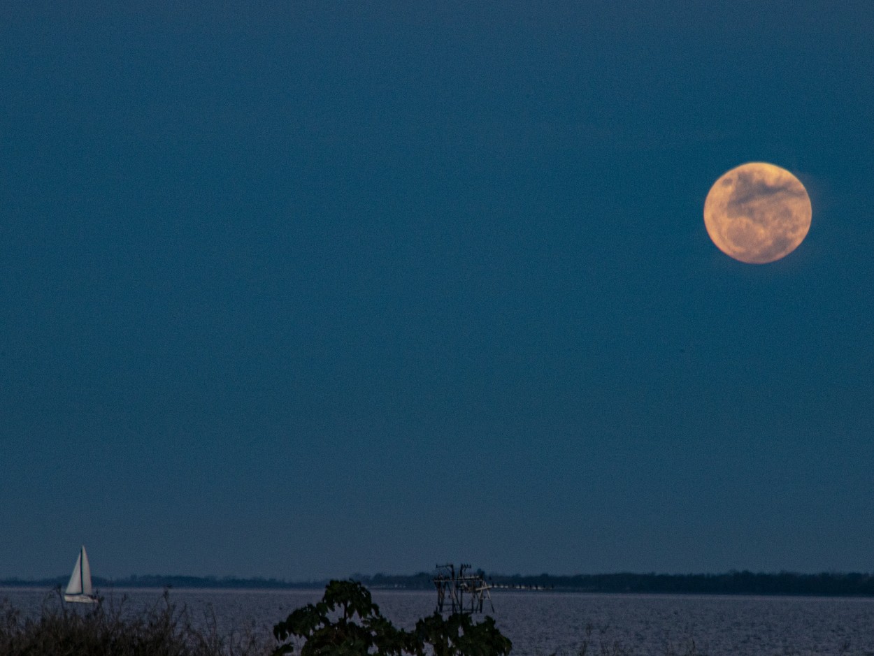 "Super Luna" de Eduardo Alfredo Balducci