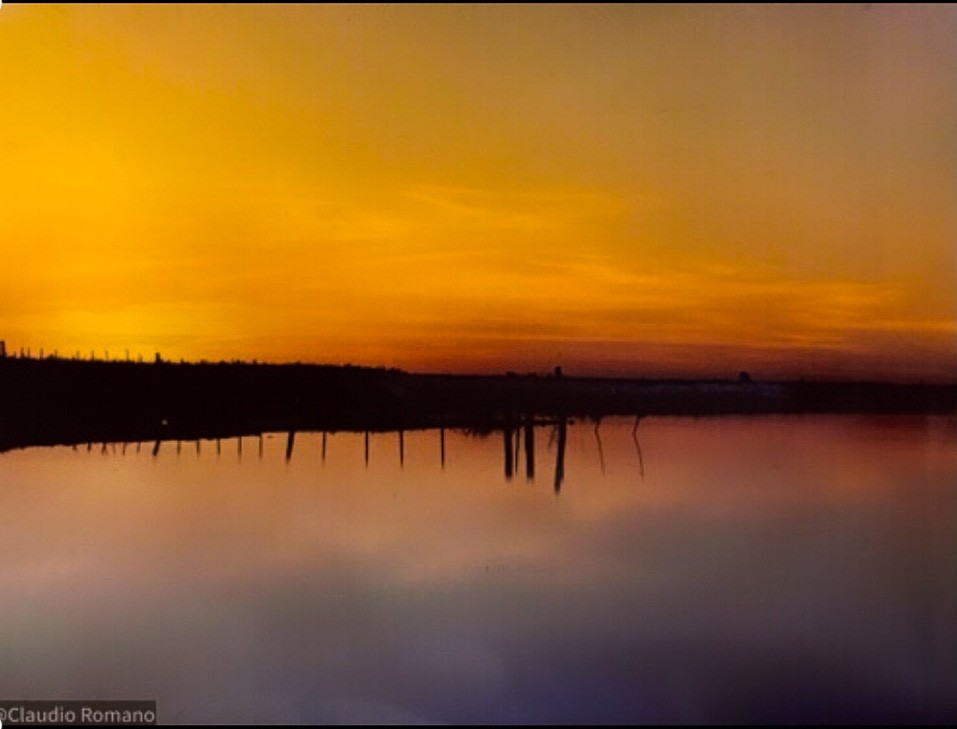 "Reflejos.." de Claudio Romano