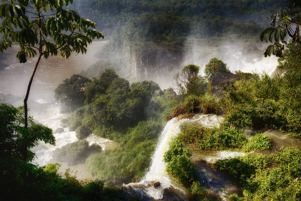 "Cataratas del Iguaz" de Mercedes Orden
