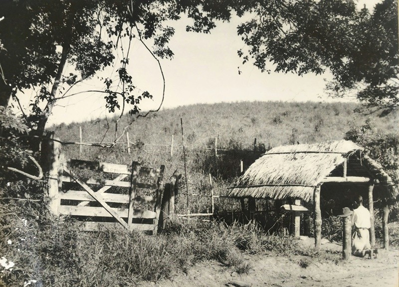 "Quando comecei a fotografar em meados do....." de Decio Badari