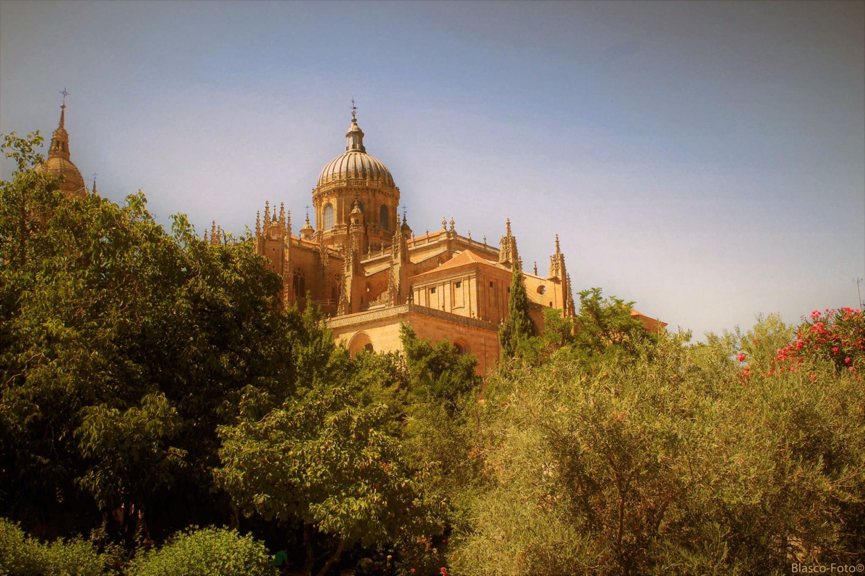 "Salamanca" de Luis Blasco Martin